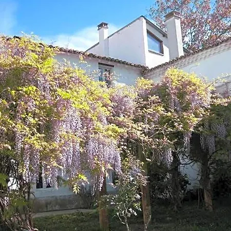 Grand Argence * Fourques